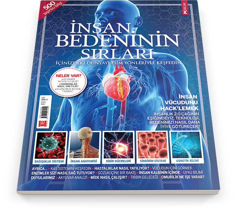 İnsan Bedeninin Sırları kapağı